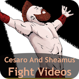 Cesaro And Sheamus Fights icon