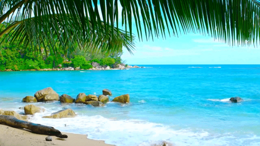 Relaxing Beaches Screen 2