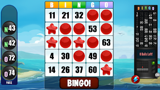 Game screenshot Mega Bingo mod apk