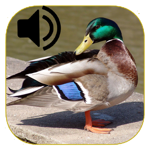 Duck Calls 21 Google Play のアプリ