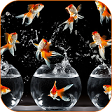 Goldfish HD Live Wallpaper icon