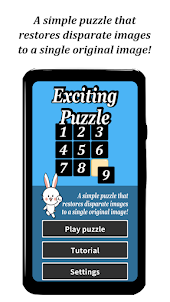 Exciting Puzzle