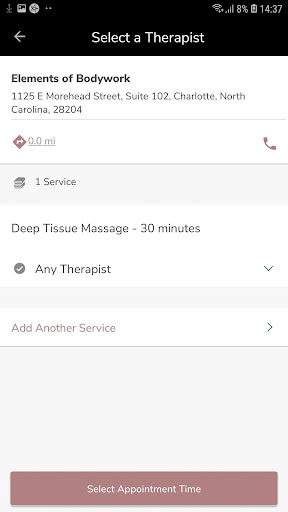 Elements of Bodywork - Massage Screen 3