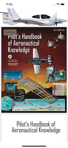 Diamond DA-42 Pilot Oral App