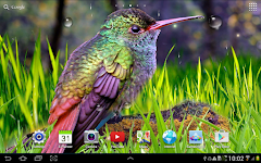 screenshot of Hummingbirds Live Wallpaper