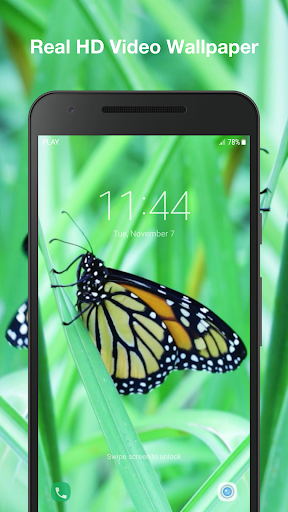Butterfly Live Wallpaper Screen 3