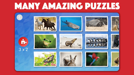 Android application Kids animal jigsaw puzzles screenshort