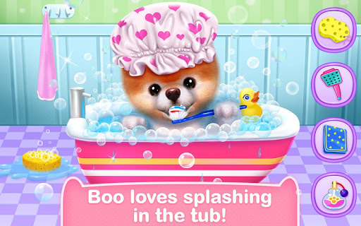 Boo - The World's Cutest Dog screenshots 8