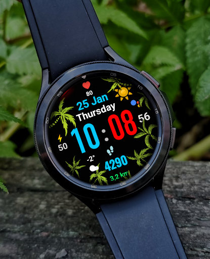 Android application Flowers MOD Digital watchface screenshort
