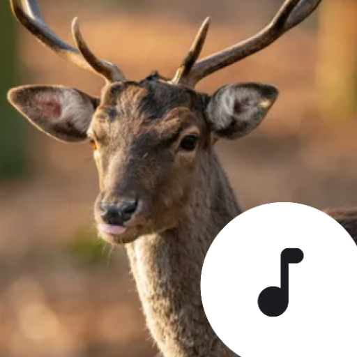 Deer Sounds logo