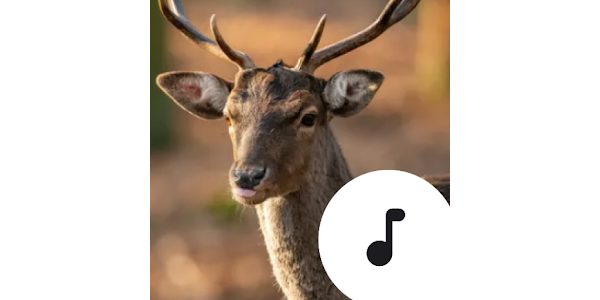 Deer Sounds - Apps on Google Play