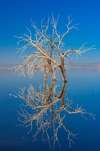 Blue Wallpaper Android HD Screen 3