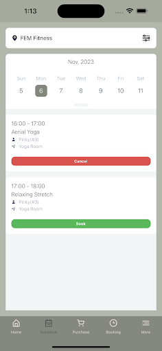 FEM Fitness Screen 3