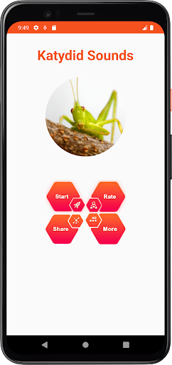 Katydid Sounds Screen 2