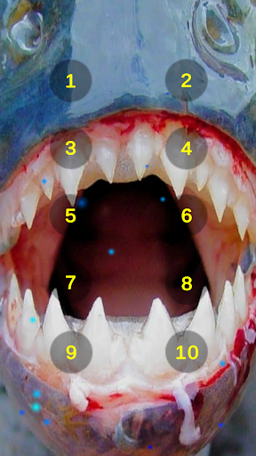 Piranha Teeth Chatter Sounds Screen 2