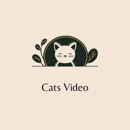 Cats Video