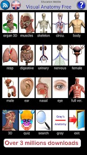 Visual Anatomy Free For PC installation