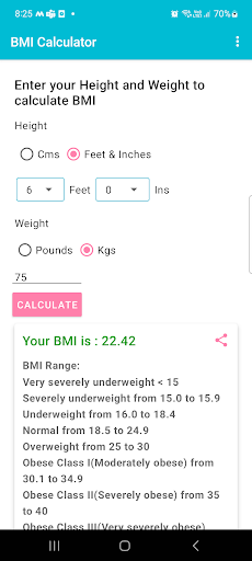 BMI Calculator Screen 2