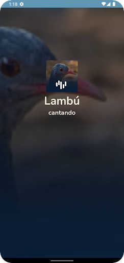 Android application Canto Para Atrir Uma Lambú screenshort