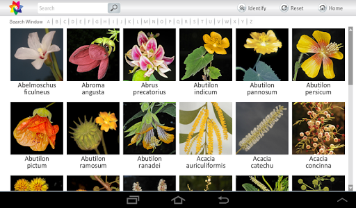 Flowers of Sahyadri Screen 2