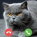 Cover Image of Download game panggilan palsu kucing  APK
