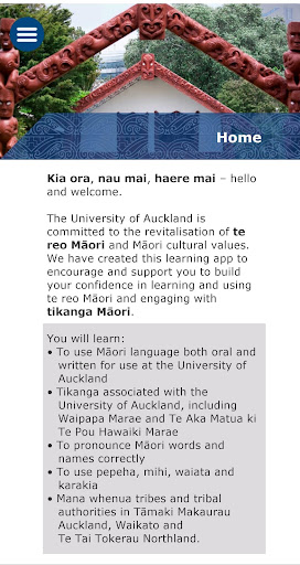Te Kūaha Screen 2