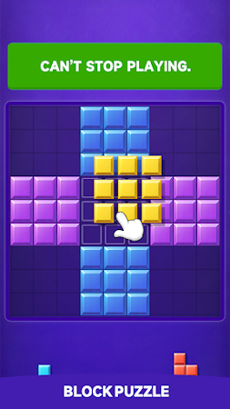 Game screenshot ブロックパズル - Block Puzzle hack