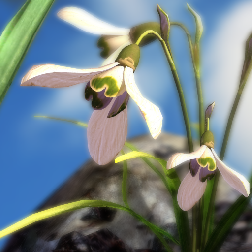 Nature Live Spring Flowers XL 1.2 Icon