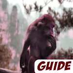 Cover Image of Download Free guide for monkeys 2021 1.0 APK