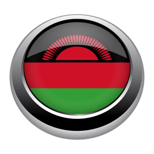 Malawi Movie Channel logo