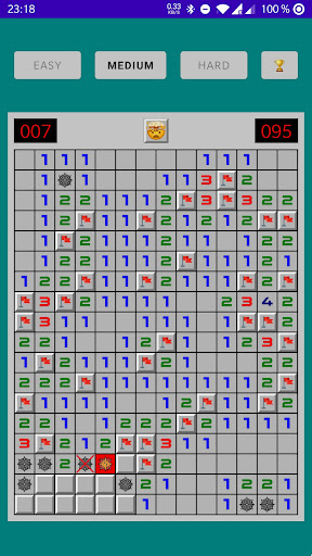 Minesweeper Screen 3