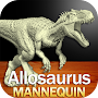 Allosaurus Mannequin