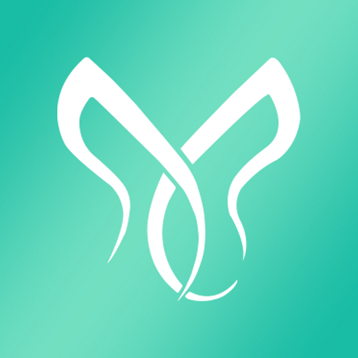 Face Massager logo