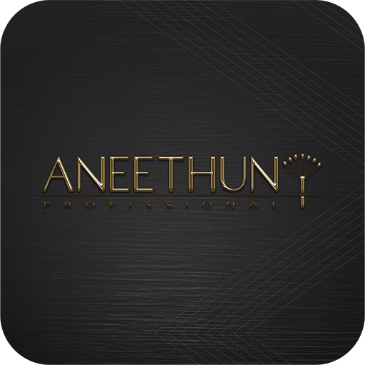 Aneethun logo