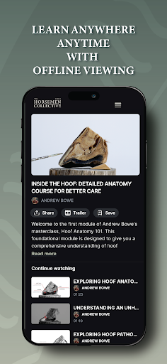 The Horsemen Collective