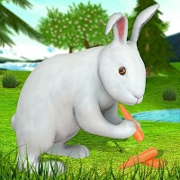 Симулятор животных - кролика