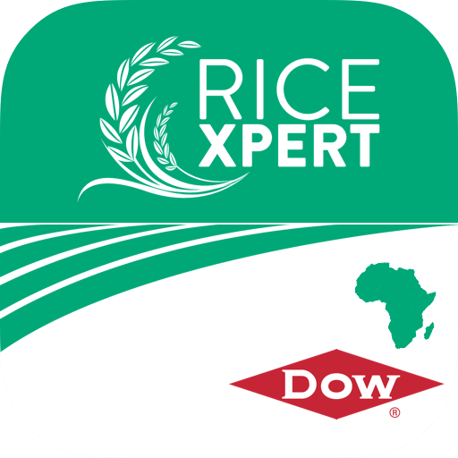 Rice Xpert  Icon