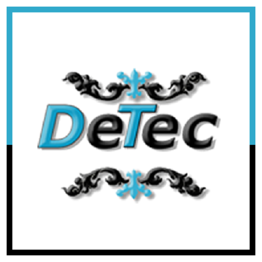 Detecegy logo