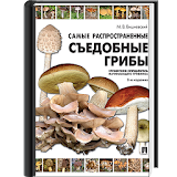 Самые расРрос. съедобные грибы icon