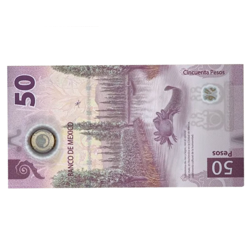 Billete de Ajolote logo
