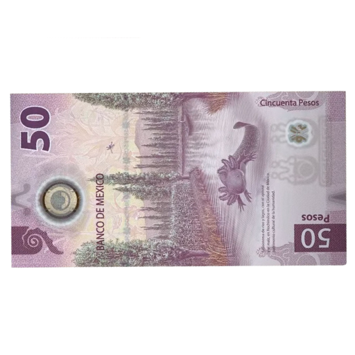 Billete de Ajolote