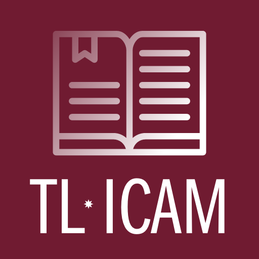 Textos Legales ICAM logo