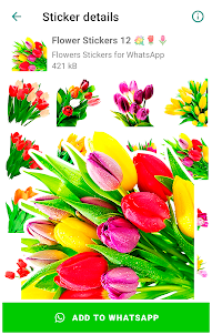 Flowers Stickers for WhatsApp