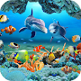 Koi Fish Live Wallpaper 3D