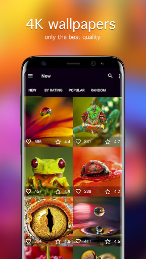 Screenshot of Macro Wallpapers 4K