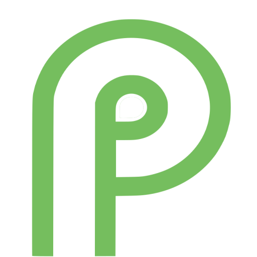 Pairride Rider logo