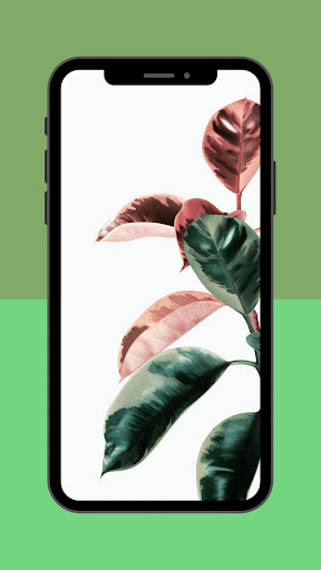 Botanical Aesthetic Wallpaper
