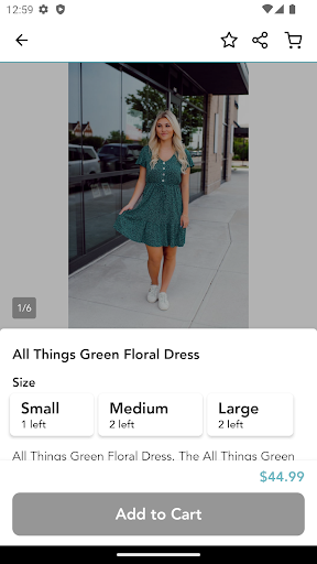 Screenshot of Blue Layne Boutique Live