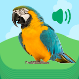 Animal Sounds - Funny Sounds icon