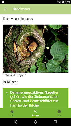 WaldApp! Screen 3